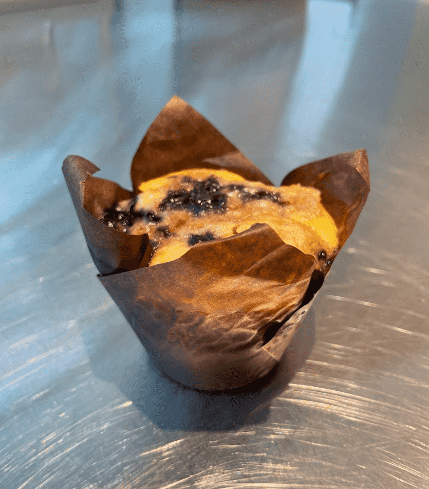 Blueberry Muffin