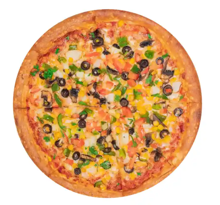 Bollywood Disco (Veg or Chicken)