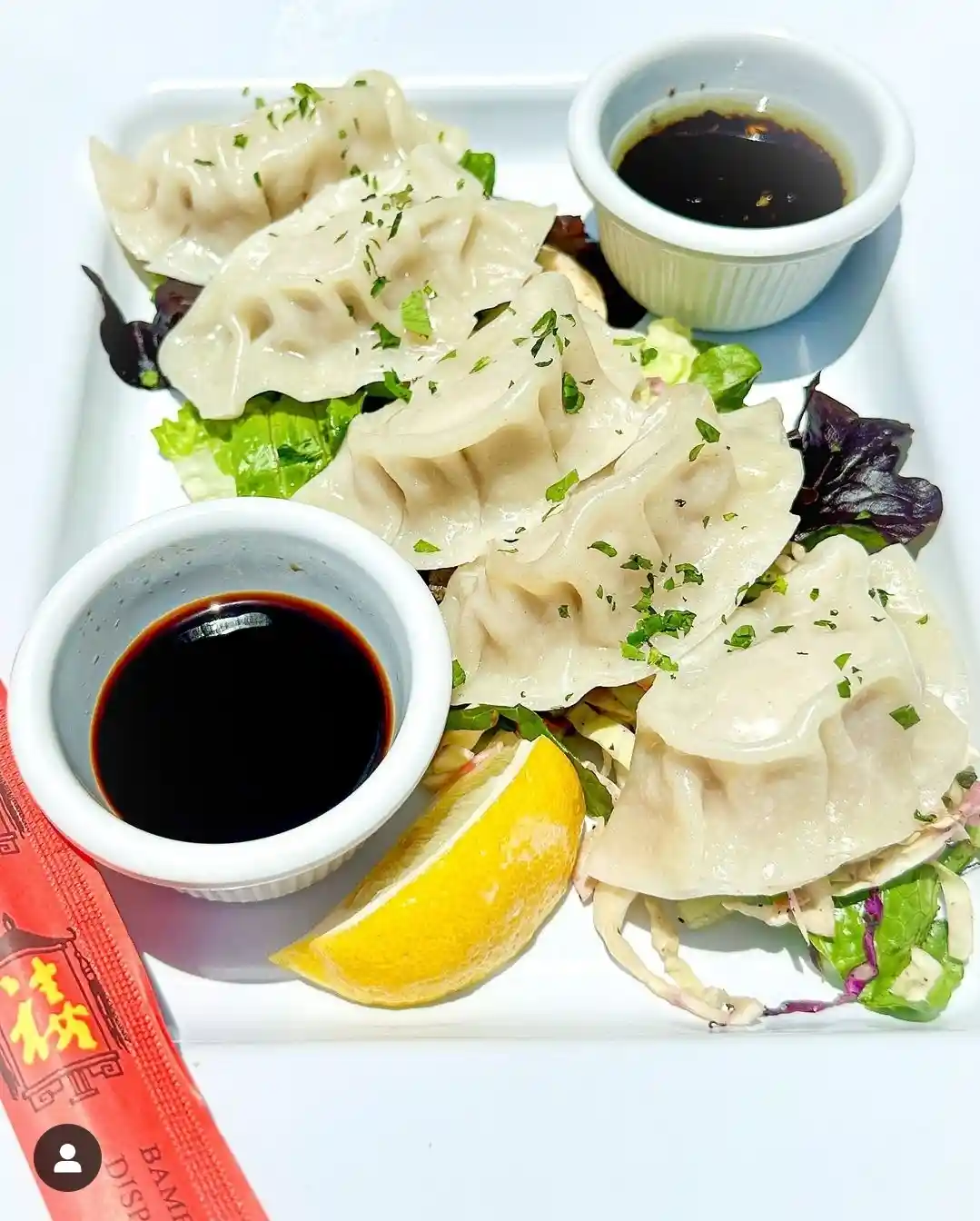 HANDCRAFTED ASIAN DUMPLINGS