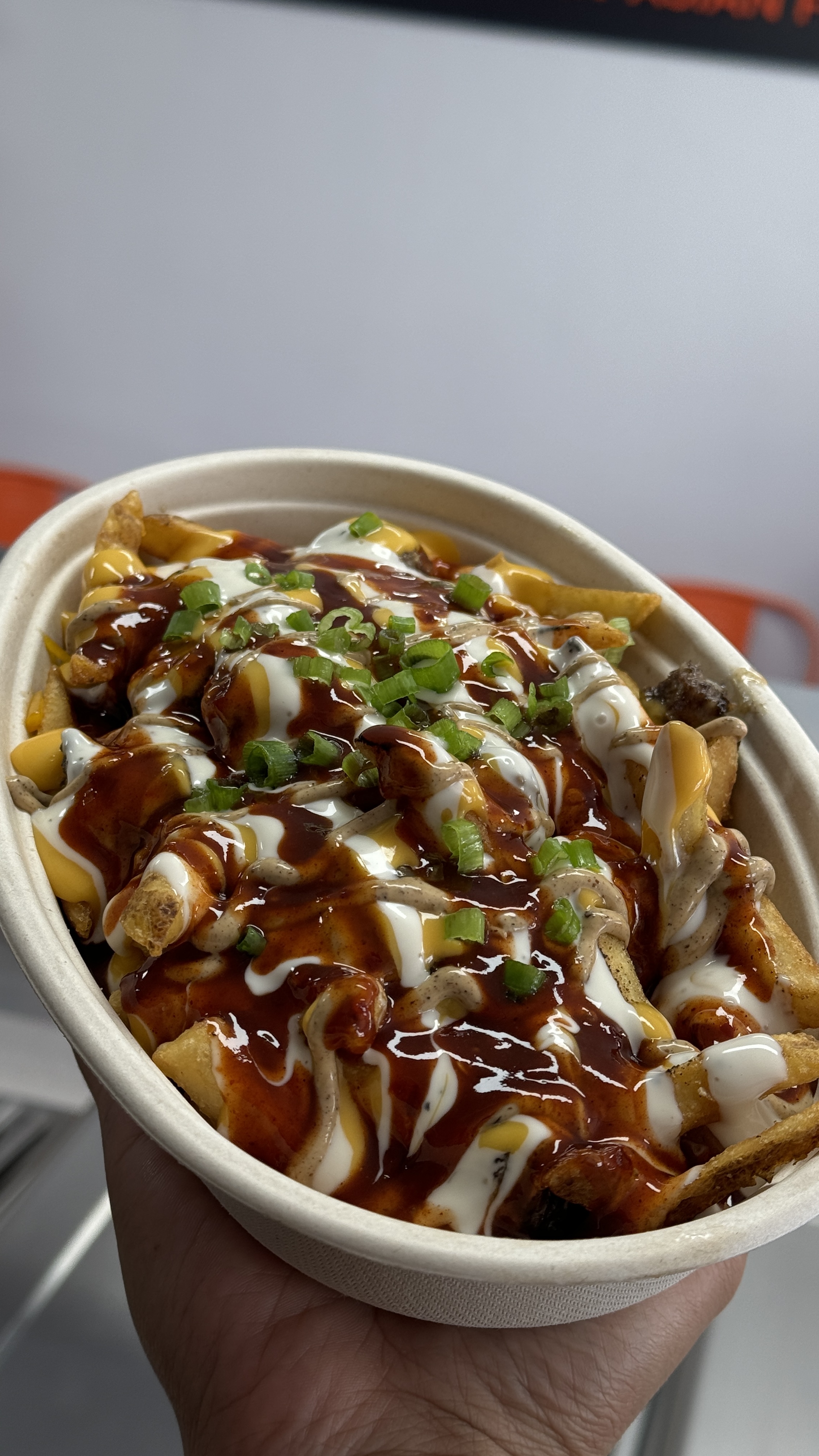 JERK CHICKEN OVER FRIES