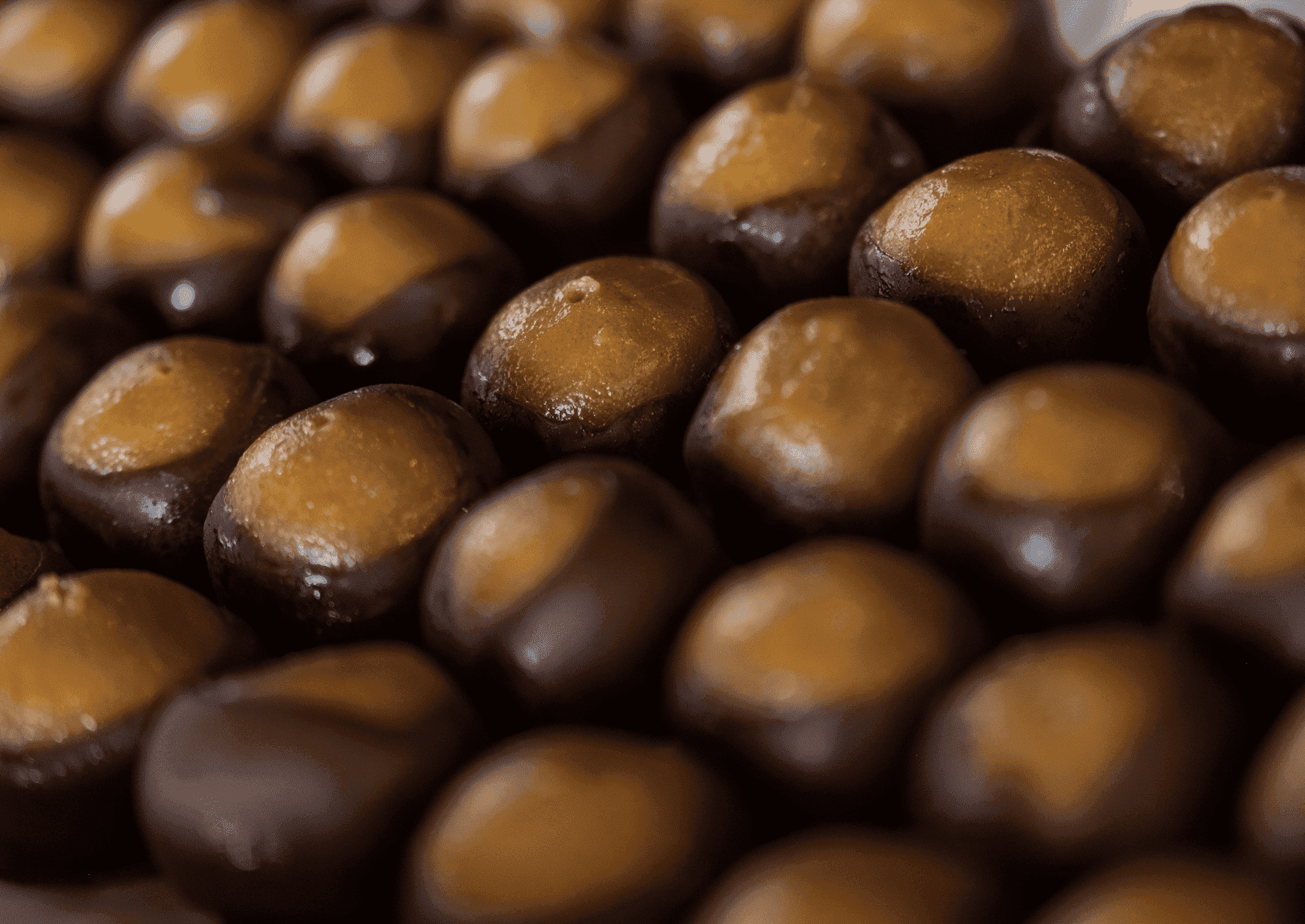 PEANUT BUTTER BUCKEYE (GF)