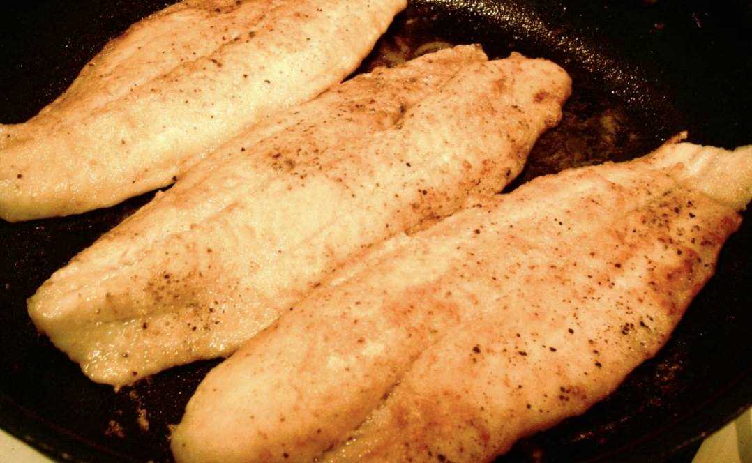 Fried Snapper