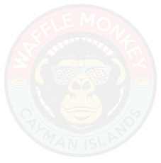 Easy & Cheesy Waffle