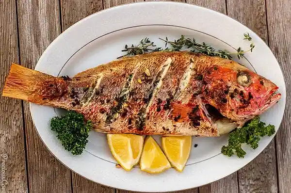 Whole Snapper